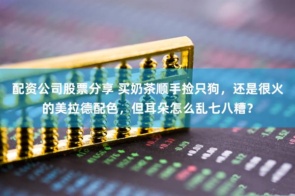 配资公司股票分享 买奶茶顺手捡只狗，还是很火的美拉德配色，但耳朵怎么乱七八糟？